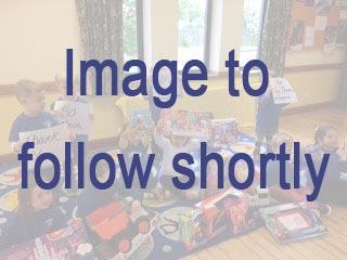 toy donation to ladybird group